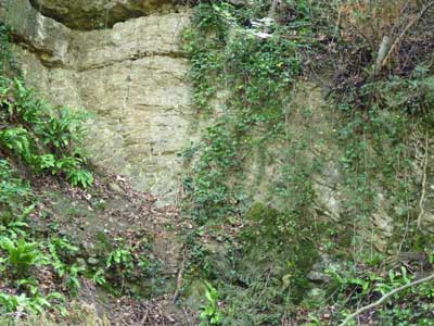 P1090623.jpg